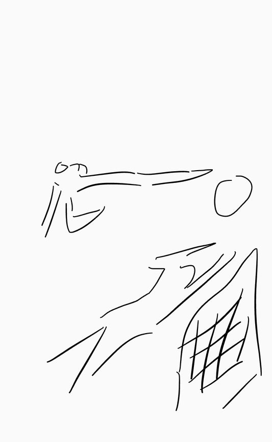 Soccer Kick - Shan Maurice