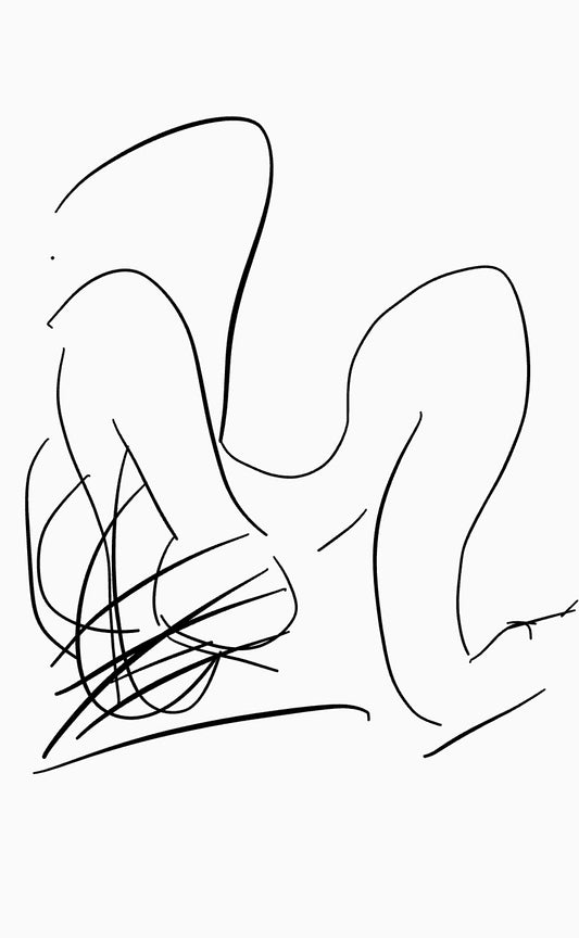 The Arch - Shan Maurice